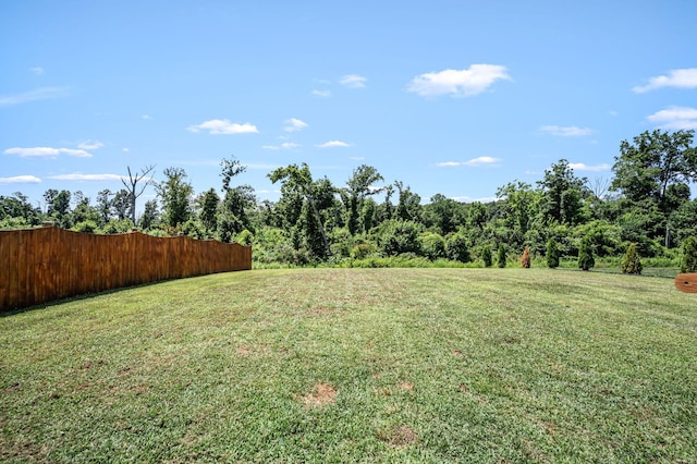 1629 Summit Rdg, Lebanon, TN 37090 - photo 30