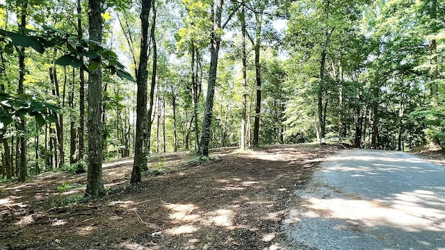 0 Union Ridge Rd, Wartrace, TN 37183 - photo 5
