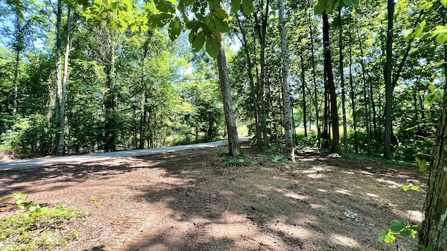 0 Union Ridge Rd, Wartrace, TN 37183 - photo 3