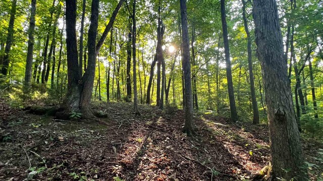 0 Union Ridge Rd, Wartrace, TN 37183 - photo 12