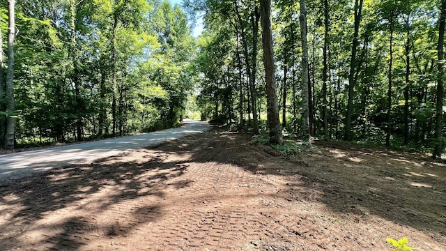 0 Union Ridge Rd, Wartrace, TN 37183 - photo 1