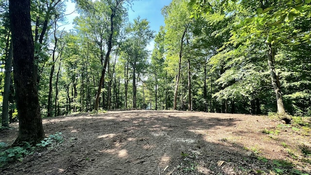 0 Union Ridge Rd, Wartrace, TN 37183 - photo 7
