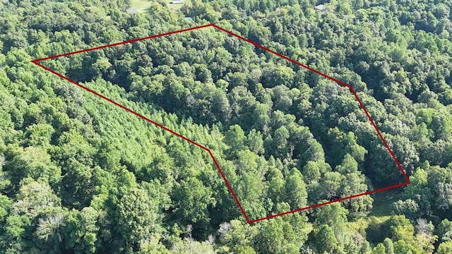 0 Union Ridge Rd, Wartrace, TN 37183 - photo 8