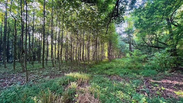 0 Union Ridge Rd, Wartrace, TN 37183 - photo 11