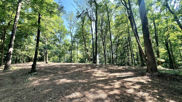 0 Union Ridge Rd, Wartrace, TN 37183 - photo 4