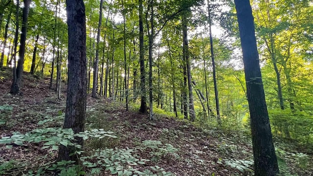 0 Union Ridge Rd, Wartrace, TN 37183 - photo 13