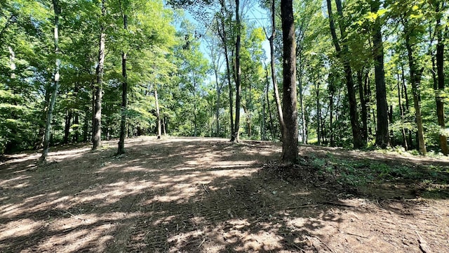 0 Union Ridge Rd, Wartrace, TN 37183 - photo 6