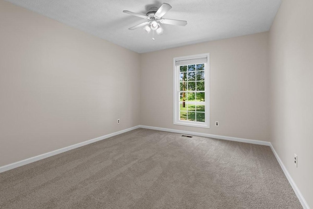 202 Hunterwood Dr, White House, TN 37188 - photo 30