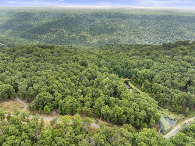 0 Eagle Rock Rd, Monteagle, TN 37356 - photo 4