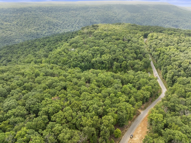 0 Eagle Rock Rd, Monteagle, TN 37356 - photo 10