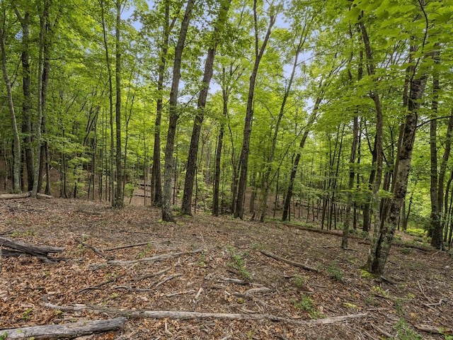 0 Eagle Rock Rd, Monteagle, TN 37356 - photo 16