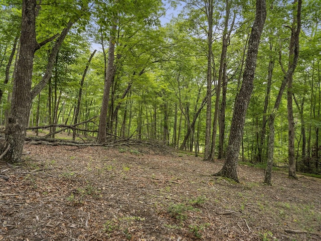 0 Eagle Rock Rd, Monteagle, TN 37356 - photo 24