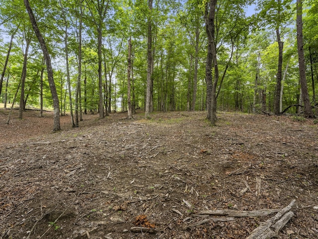 0 Eagle Rock Rd, Monteagle, TN 37356 - photo 17