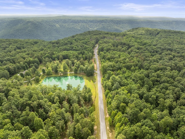 0 Eagle Rock Rd, Monteagle, TN 37356 - photo 11