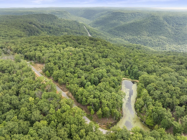 0 Eagle Rock Rd, Monteagle, TN 37356 - photo 3