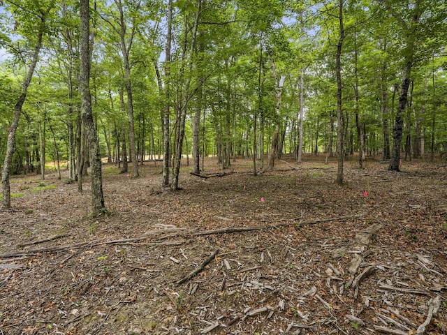 0 Eagle Rock Rd, Monteagle, TN 37356 - photo 20