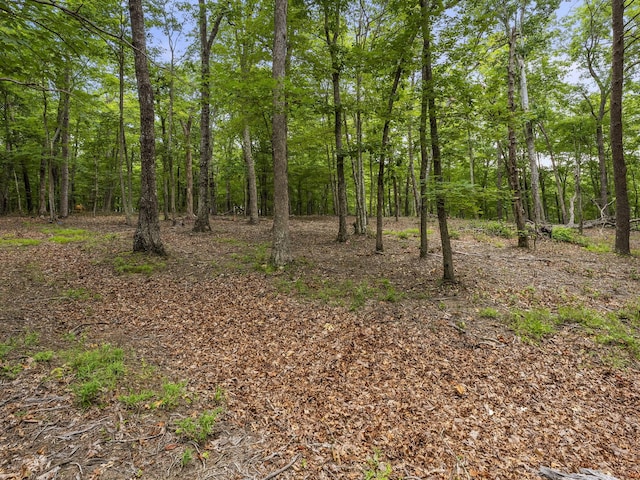 0 Eagle Rock Rd, Monteagle, TN 37356 - photo 19