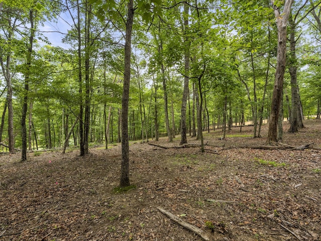 0 Eagle Rock Rd, Monteagle, TN 37356 - photo 21