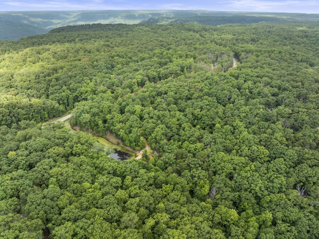 0 Eagle Rock Rd, Monteagle, TN 37356 - photo 8