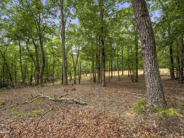 0 Eagle Rock Rd, Monteagle, TN 37356 - photo 23