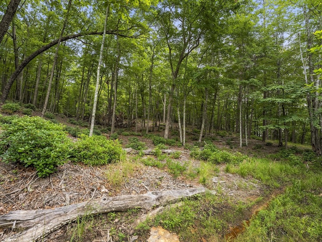 0 Eagle Rock Rd, Monteagle, TN 37356 - photo 26