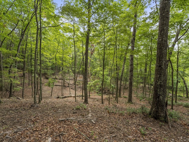 0 Eagle Rock Rd, Monteagle, TN 37356 - photo 15