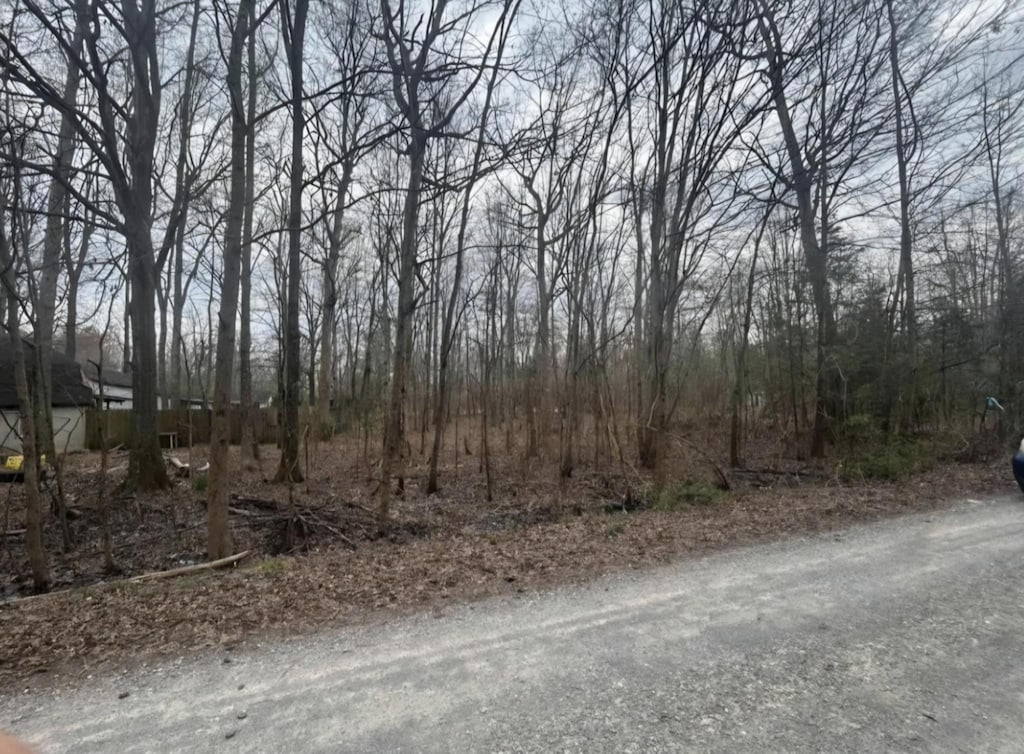 0 Pin Oak Run, Beechgrove, TN 37018 - photo 1