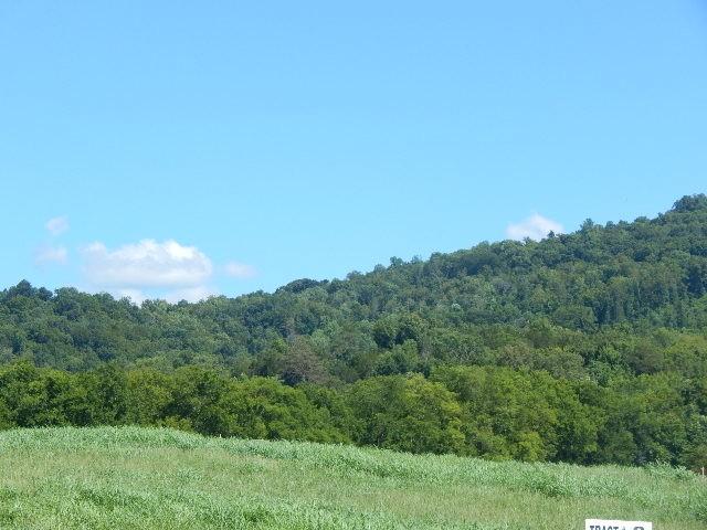283 Hidden Riv, Sparta, TN 38583 - photo 53