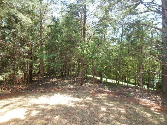283 Hidden Riv, Sparta, TN 38583 - photo 42