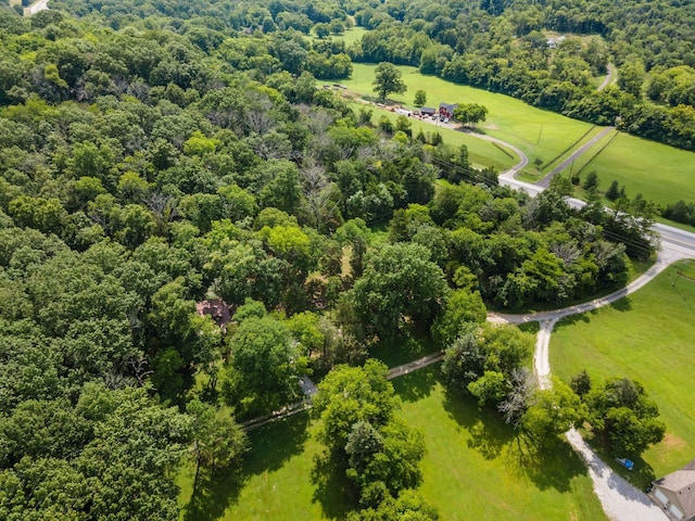 1115 Bear Creek Pike, Columbia, TN 38401 - photo 42