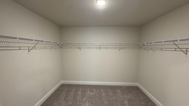 608 Grange Way, Lebanon, TN 37087 - photo 23