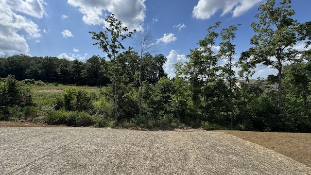 608 Grange Way, Lebanon, TN 37087 - photo 37