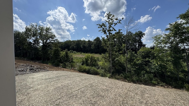 608 Grange Way, Lebanon, TN 37087 - photo 36