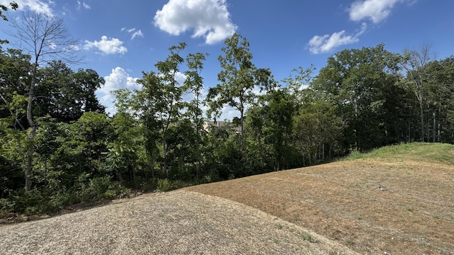 608 Grange Way, Lebanon, TN 37087 - photo 38