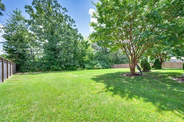 7304 Cold Harbor Ct, Fairview, TN 37062 - photo 38