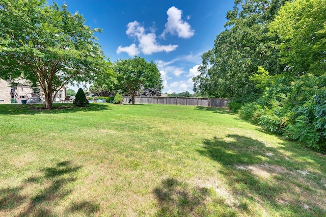 7304 Cold Harbor Ct, Fairview, TN 37062 - photo 49