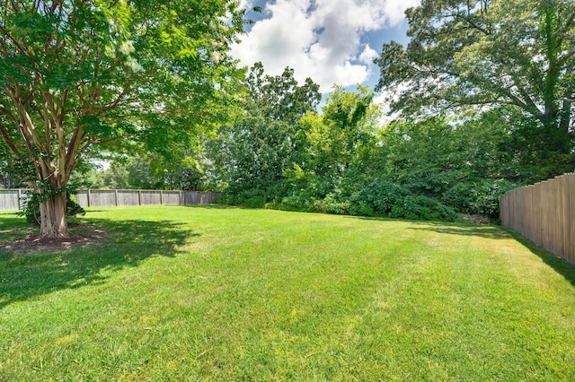 7304 Cold Harbor Ct, Fairview, TN 37062 - photo 36