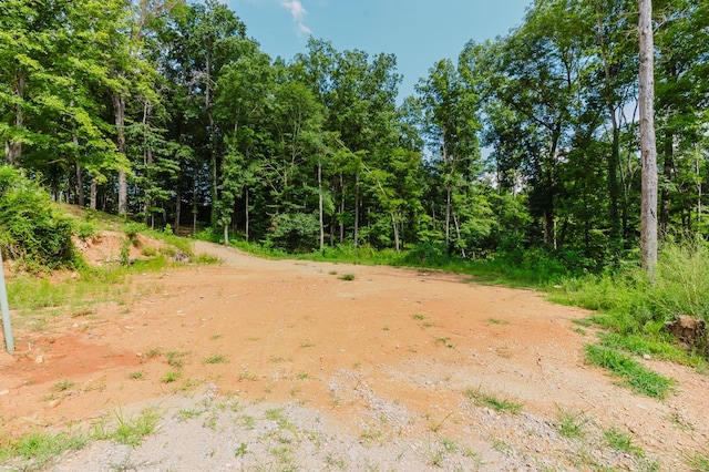 421 Westview Rd, White Bluff, TN 37187 - photo 20