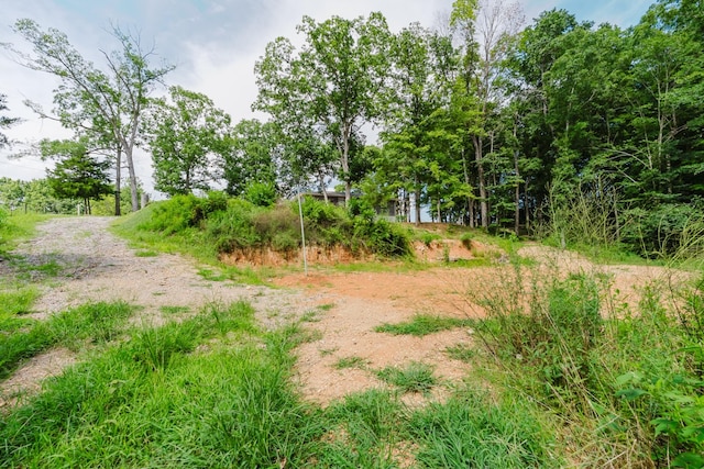 421 Westview Rd, White Bluff, TN 37187 - photo 21