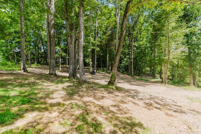 421 Westview Rd, White Bluff, TN 37187 - photo 17