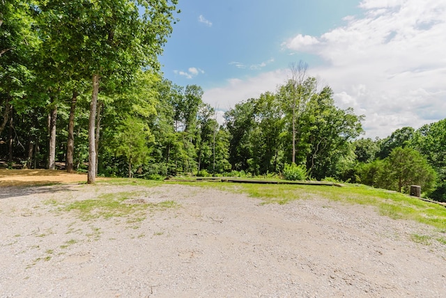 421 Westview Rd, White Bluff, TN 37187 - photo 16