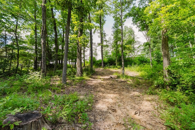 421 Westview Rd, White Bluff, TN 37187 - photo 18