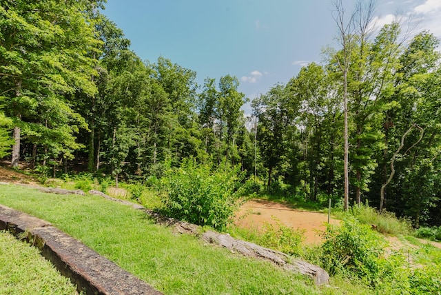 421 Westview Rd, White Bluff, TN 37187 - photo 19