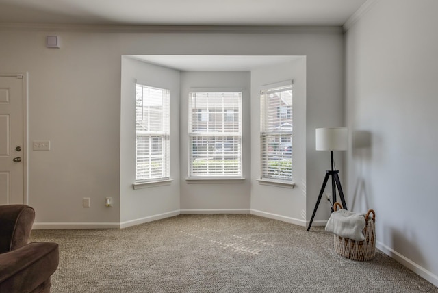 1101 Downs Blvd Unit 277, Franklin, TN 37064 - photo 8