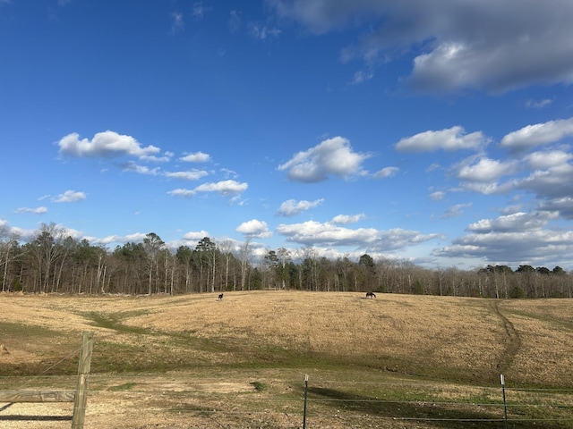5132 Sulphur Creek Rd, Big Sandy, TN 38221 - photo 12
