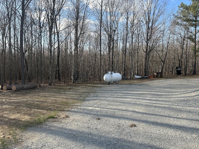 5132 Sulphur Creek Rd, Big Sandy, TN 38221 - photo 10