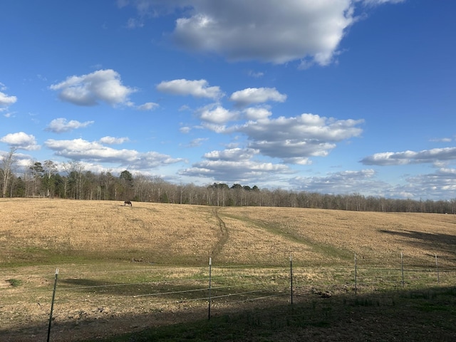 5132 Sulphur Creek Rd, Big Sandy, TN 38221 - photo 11