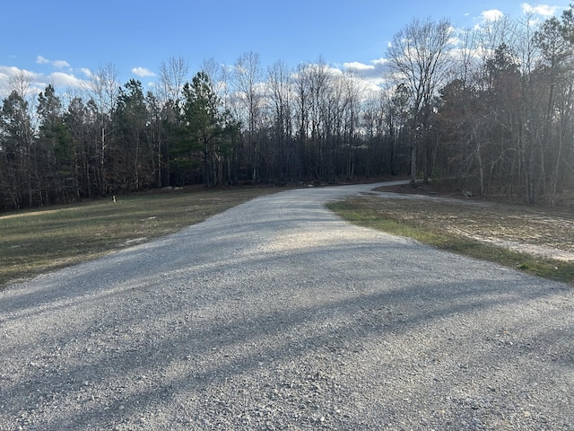 5132 Sulphur Creek Rd, Big Sandy, TN 38221 - photo 7