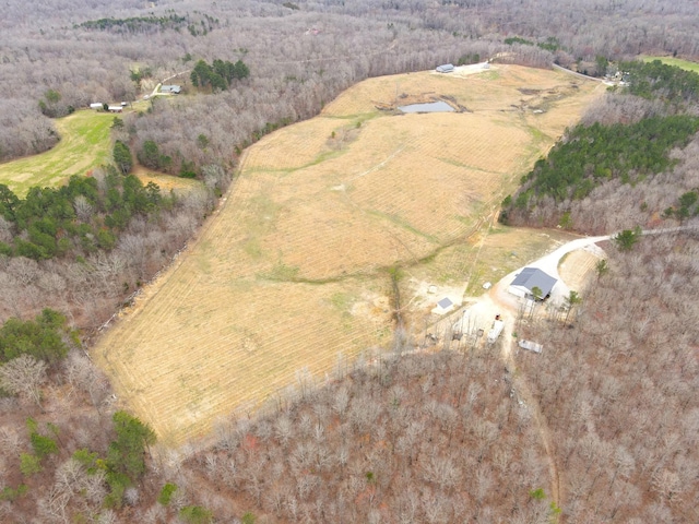 5132 Sulphur Creek Rd, Big Sandy, TN 38221 - photo 31