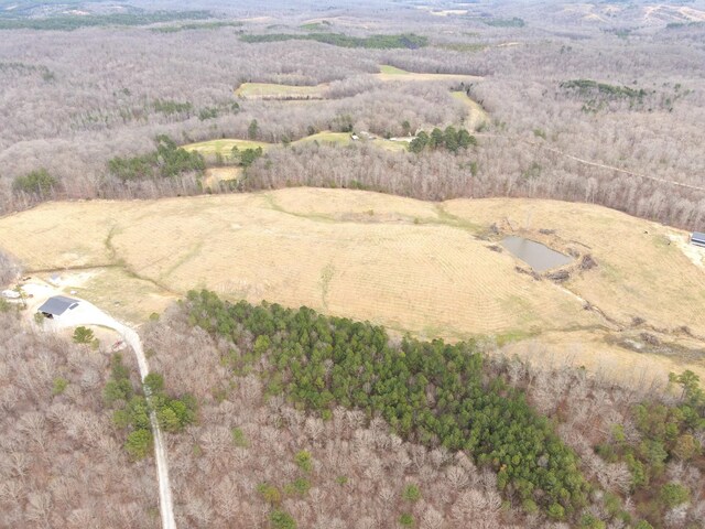 5132 Sulphur Creek Rd, Big Sandy, TN 38221 - photo 33